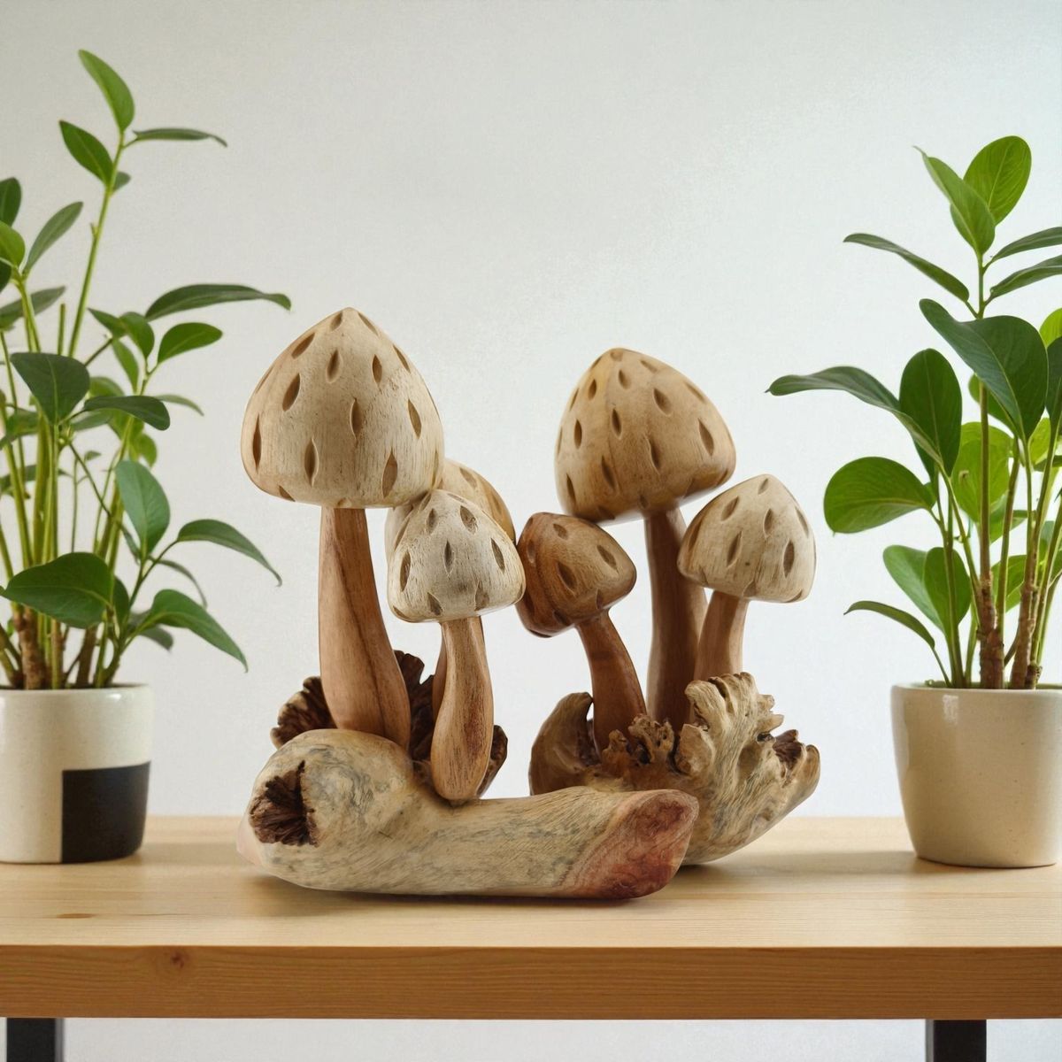 6er Set Pilze