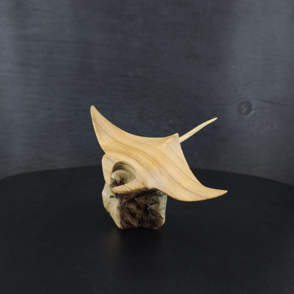 Manta Rochen