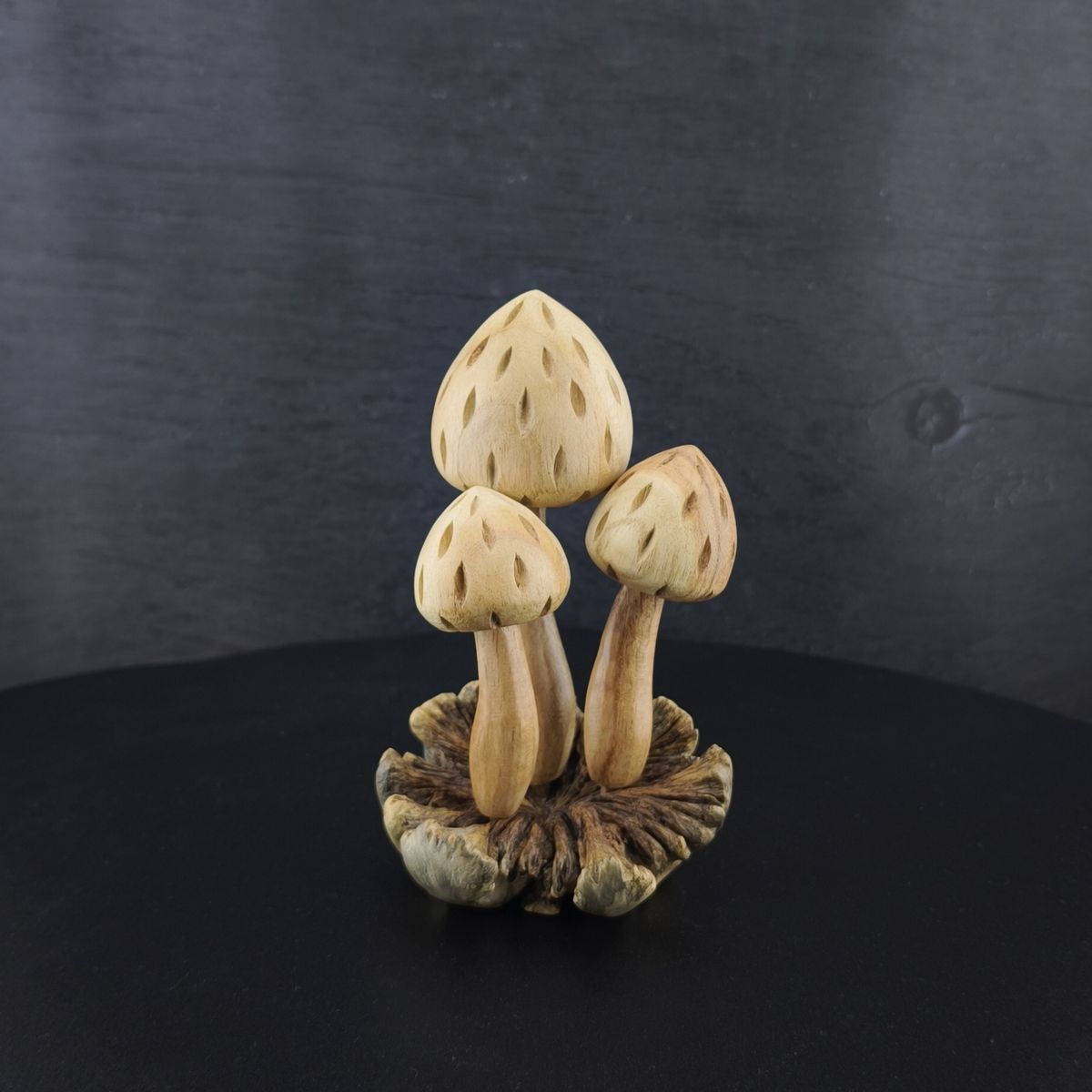 3er Set Pilze
