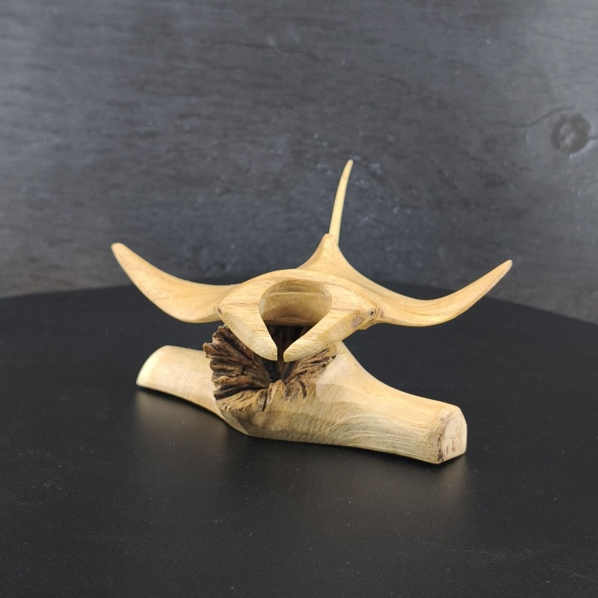 Manta Rochen