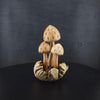 3er Set Pilze