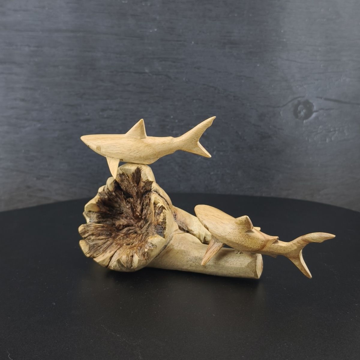 Riffhaie 20cm