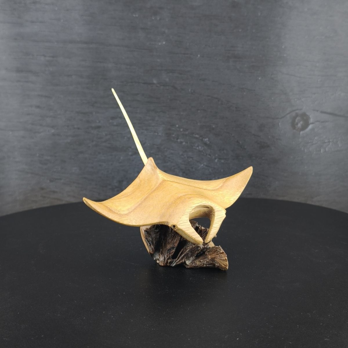 Manta Rochen