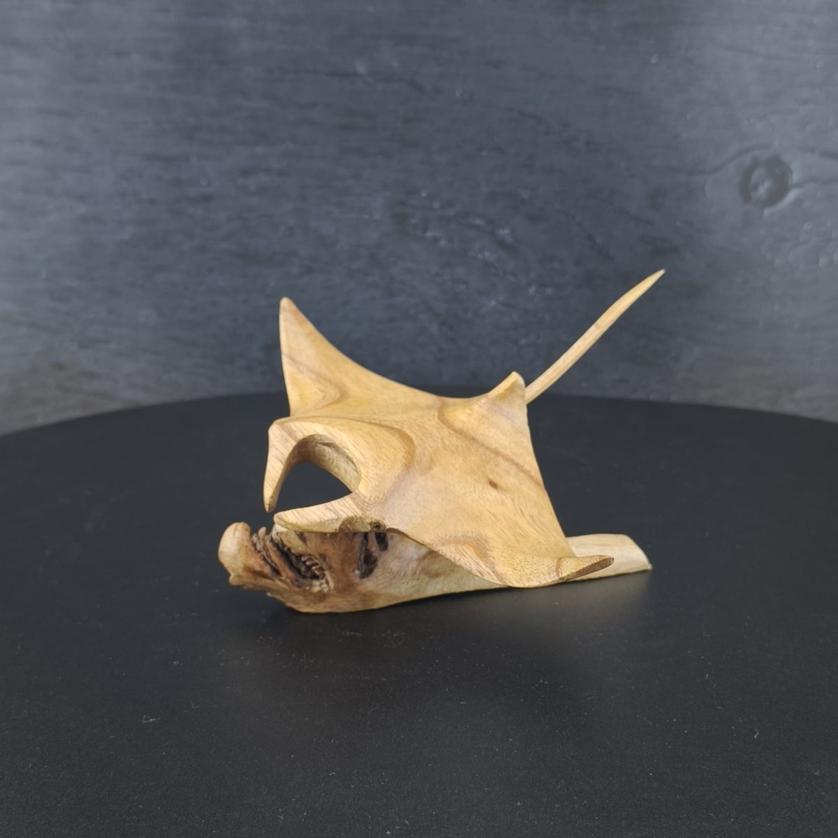 Manta Rochen