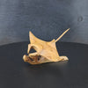 Manta Rochen