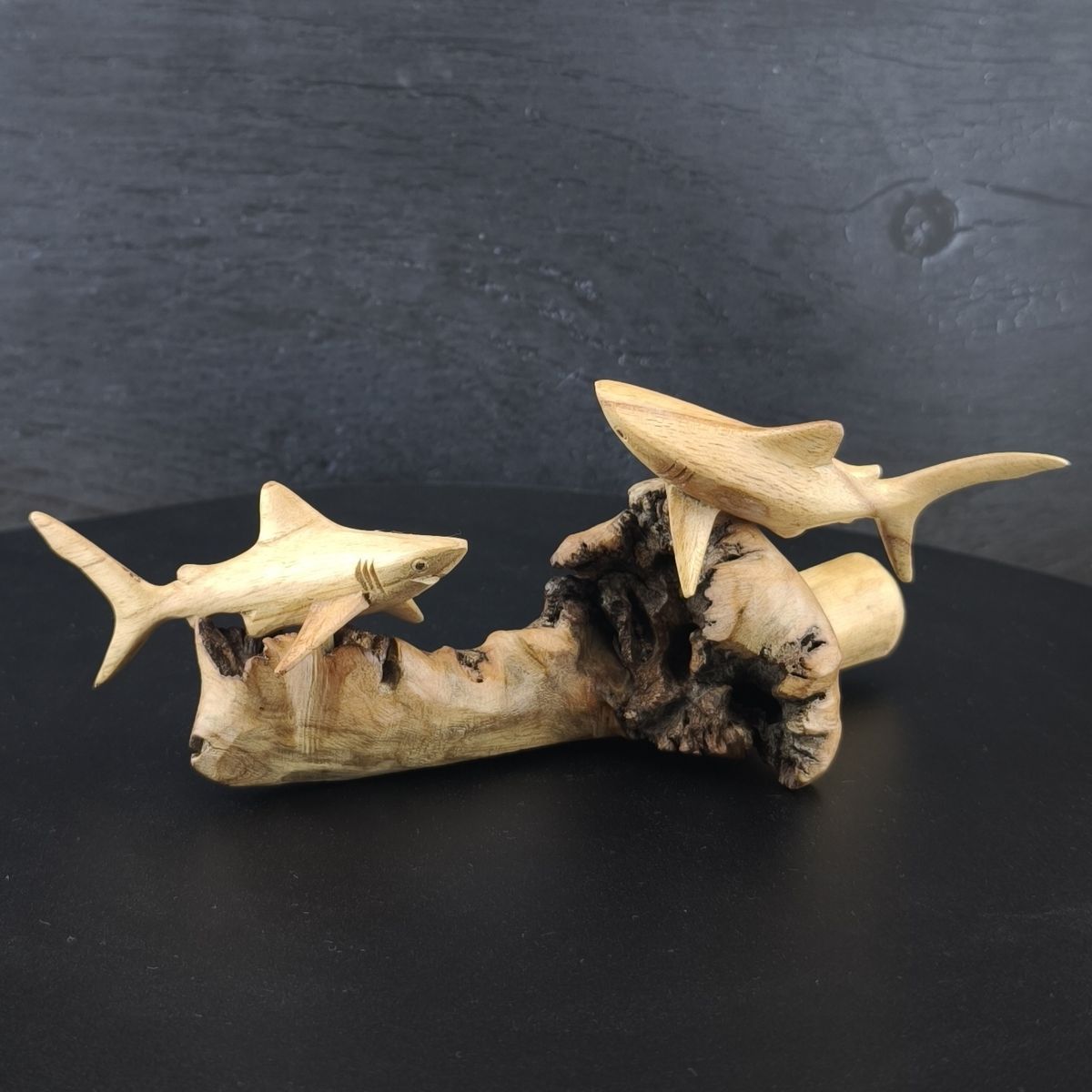 Riffhaie 21cm
