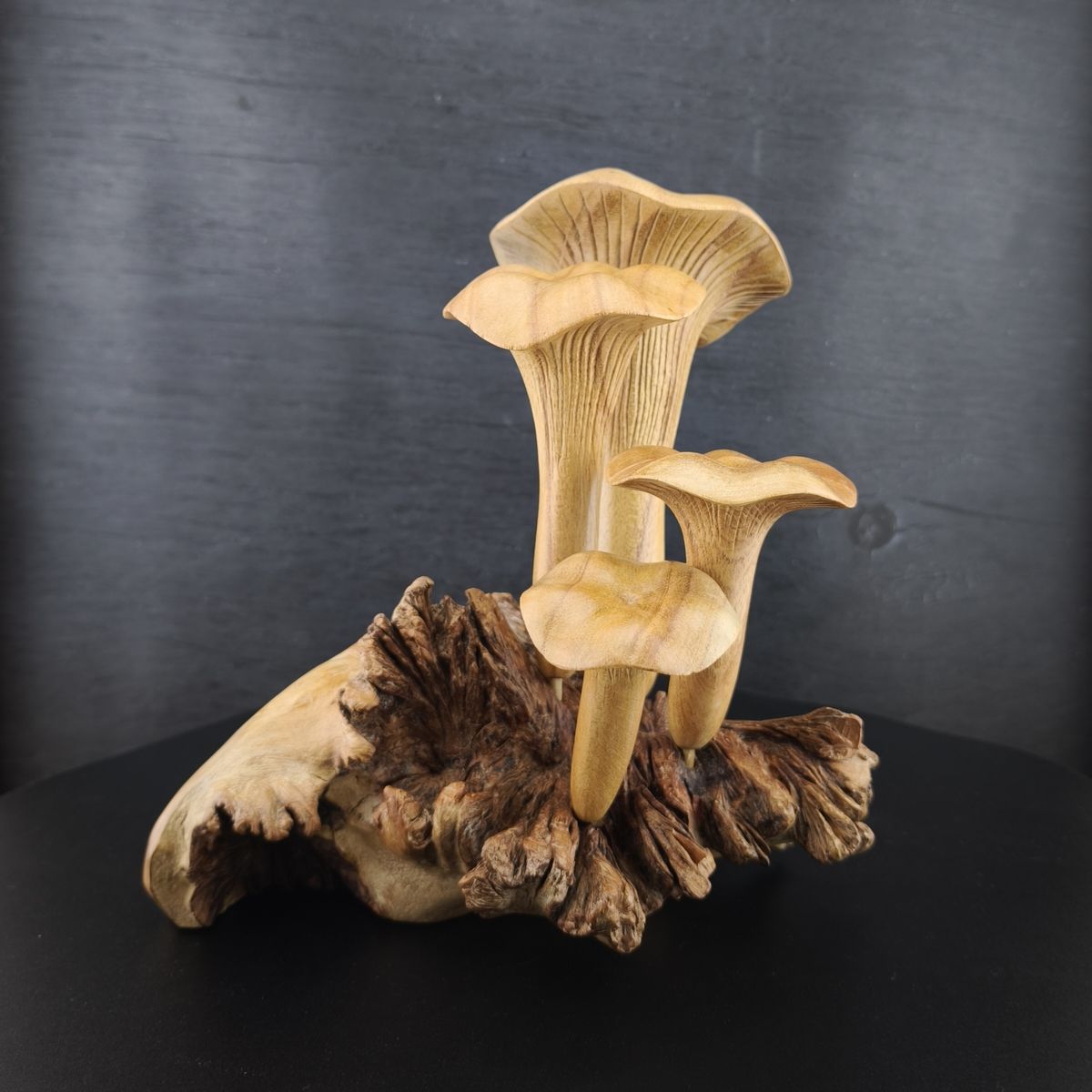 4er Set Pilze / Pfifferlinge