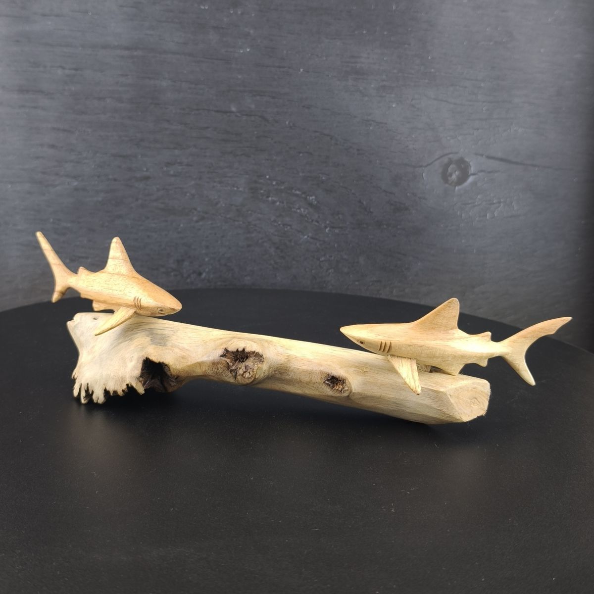 Riffhaie 28cm