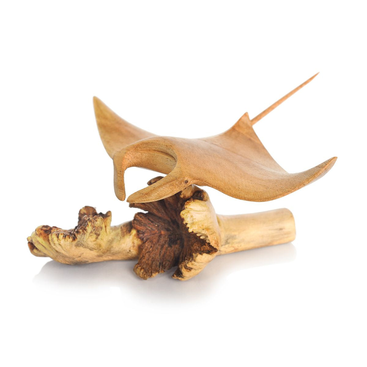 Manta Rochen - Elegante Kunst in Naturform